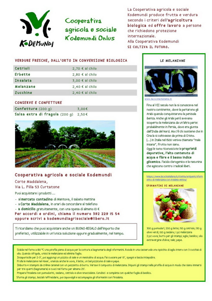 kodemundi-06-20181