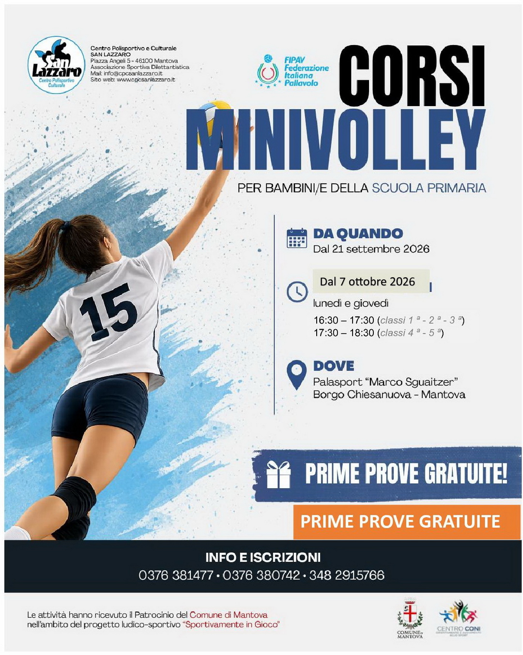 2026-04-MiniVolley-v2